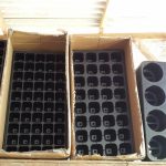 Tray-bibit-dan-tray-anggrek