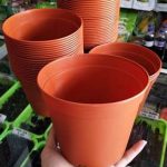 pot-bunga-merah