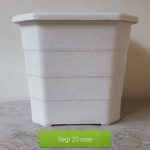 pot segi 20 rose plastik