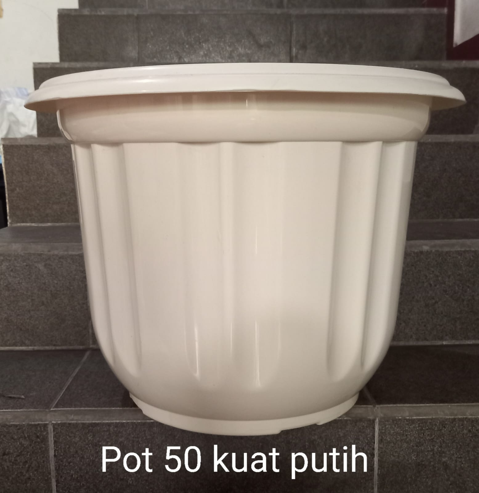 Pot 50 Kuat Putih
