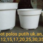 Pot Polos Putih