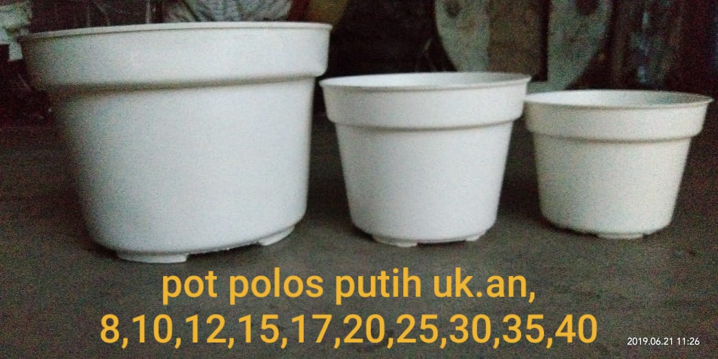 Pot Polos Putih