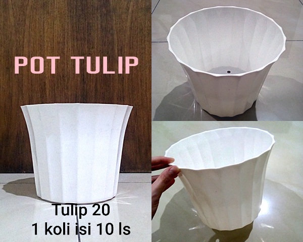Pot Tulip 20